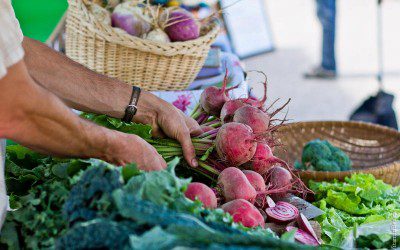 Farmers’ Markets in the News