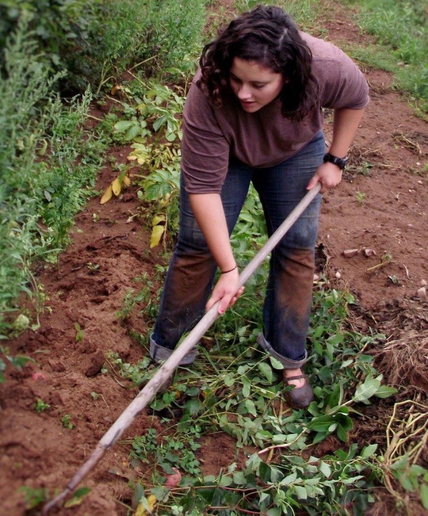 Courtney - Old Furrow Farm
