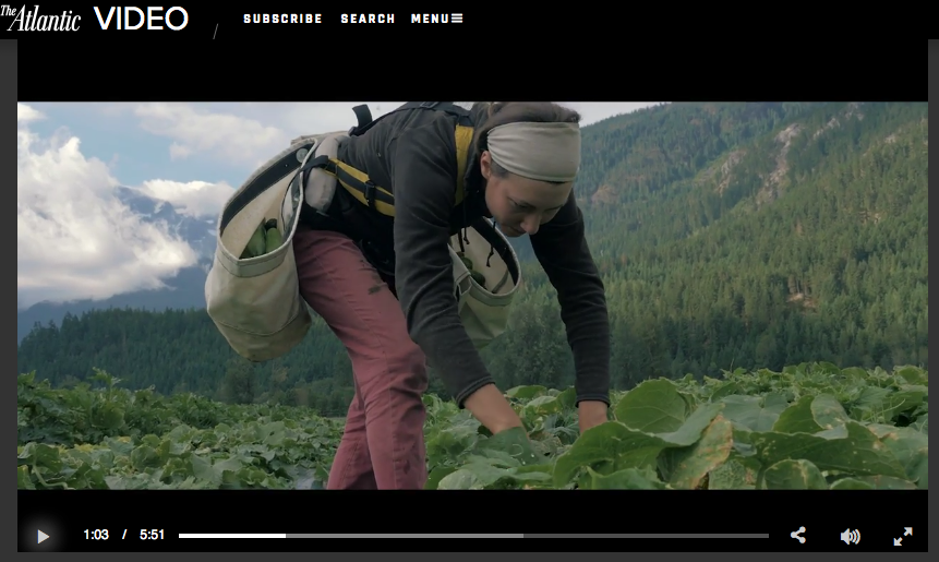 Screen Shot 2016-05-10 at 10.35.09 AM