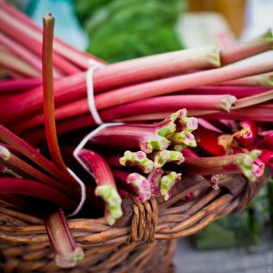 rhubard