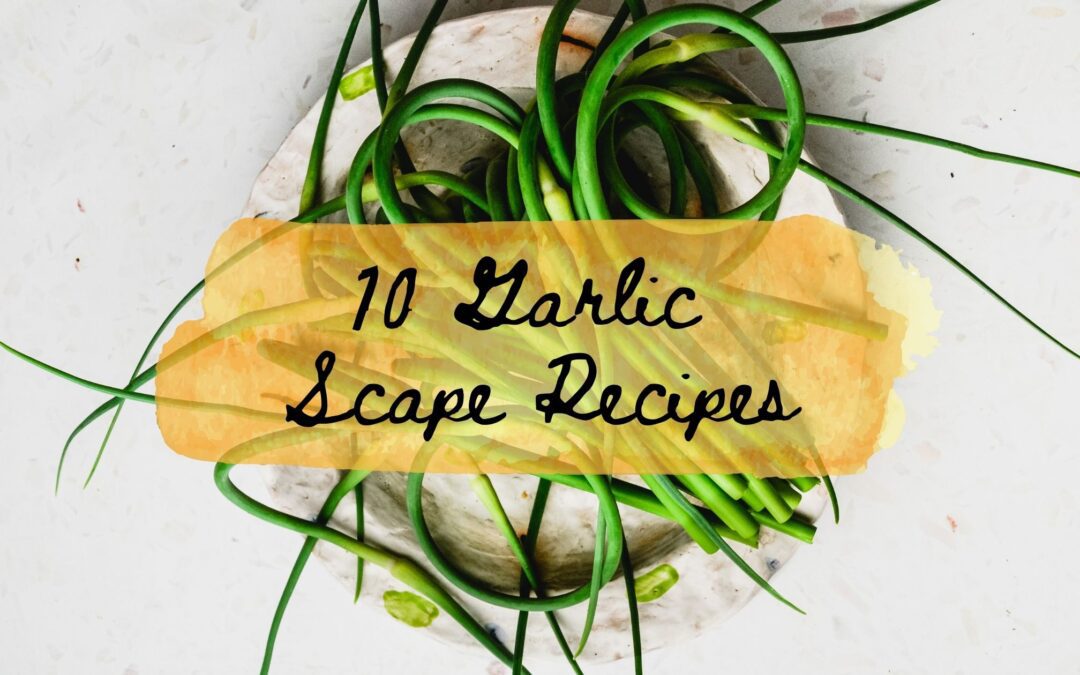 10 Unique Ways To Use Garlic Scapes