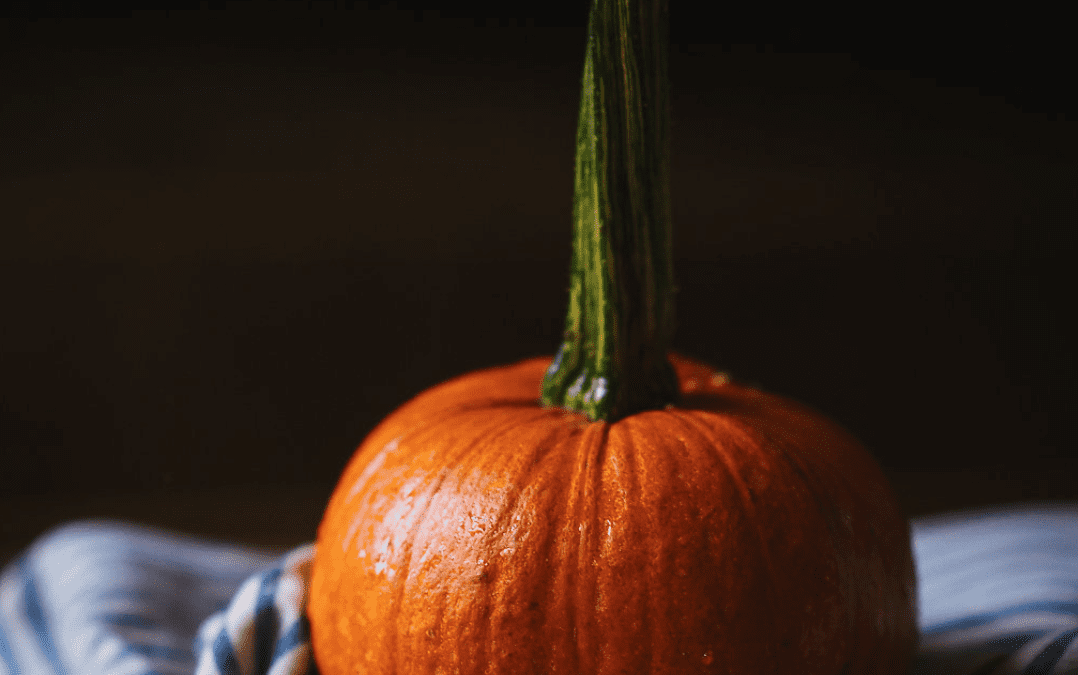 What’s in Season During the Fall in Nova Scotia?