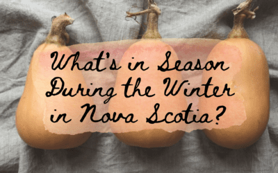 What’s in Season During the Winter in Nova Scotia?