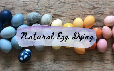 Natural Egg Dying Recipe