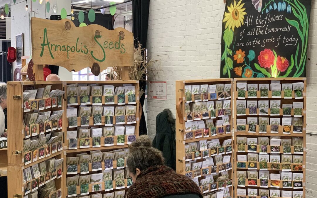 Why Local Seeds Are Best