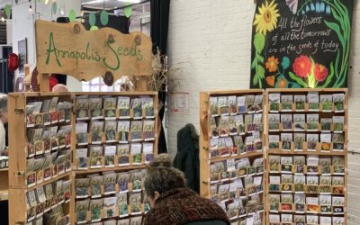 Why Local Seeds Are Best