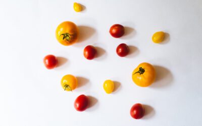 Farmers’ Markets of Nova Scotia statement on starvation in Gaza
