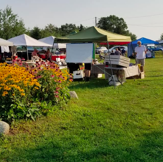 vendor booths set up in a grassy field with wildflowers in the foreground