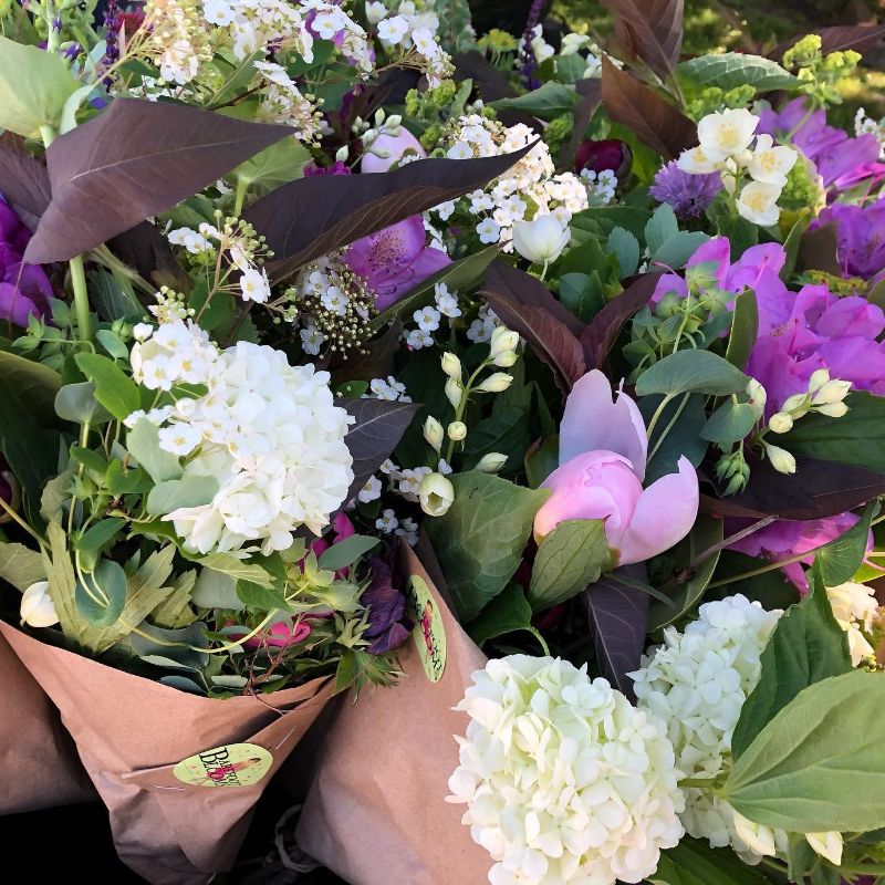 A display of purple and white flowers for sale