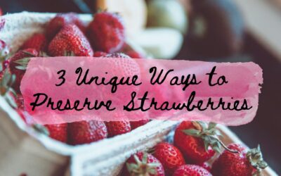 3 Unique Ways to Preserve Strawberries
