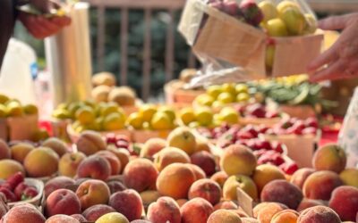 Let’s talk about the drought’s impacts on Nova Scotia’s farms.